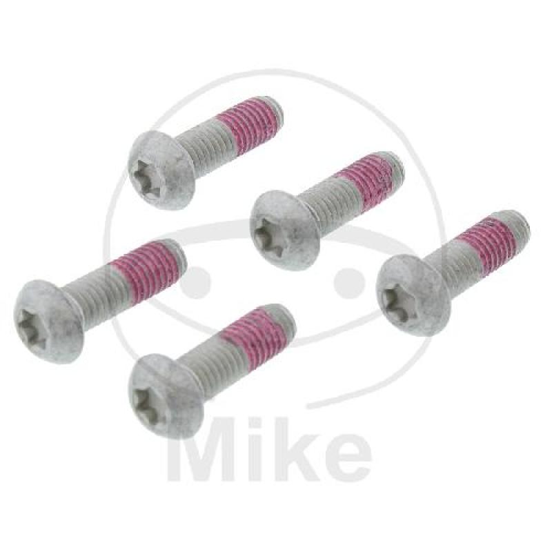 Bremsscheibenschraube, Satz, TRW