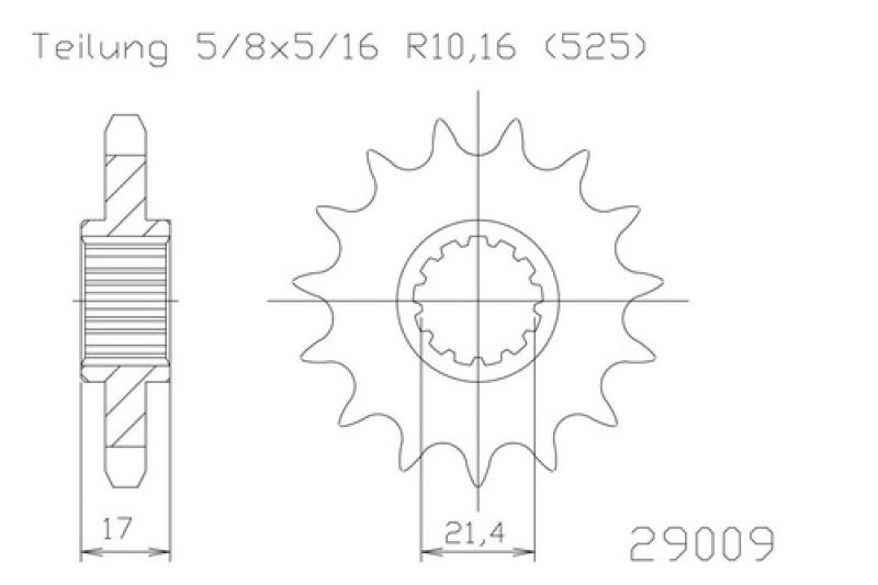 Kettenritzel, 15 Zähne