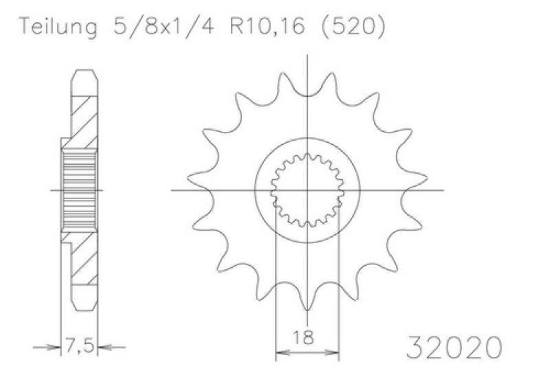 Kettenritzel, 13 Zähne